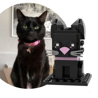 Brickheadz Gato